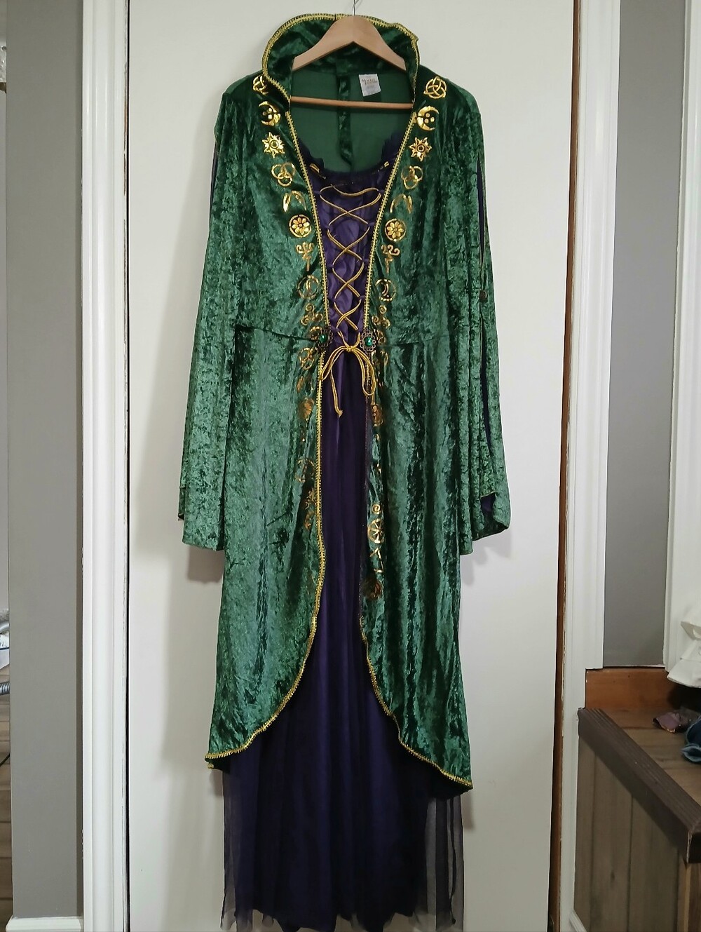 Disney Hocus Pocus Winifred Sanderson Costume Dress Green Velvet Size 1X